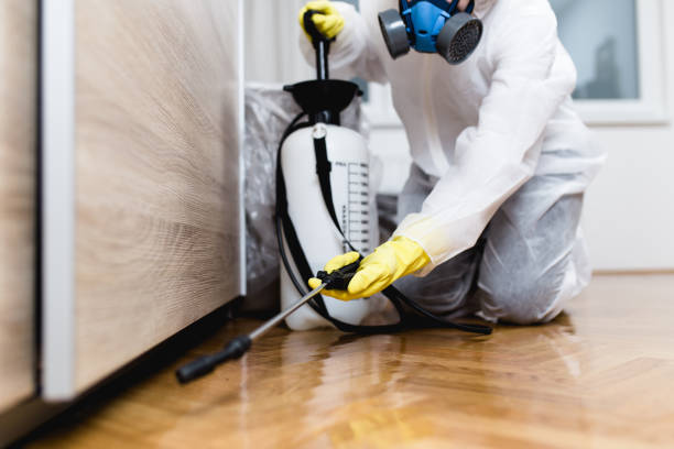 Professional Pest Control in Old Hill, CT