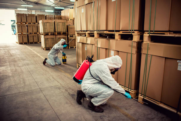 Best Affordable Pest Control Services  in Old Hill, CT