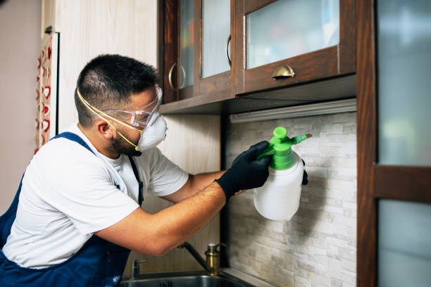 Best Pest Control Cost  in Old Hill, CT