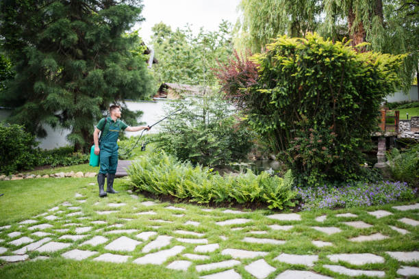 Best Pest Inspection Near Me  in Old Hill, CT