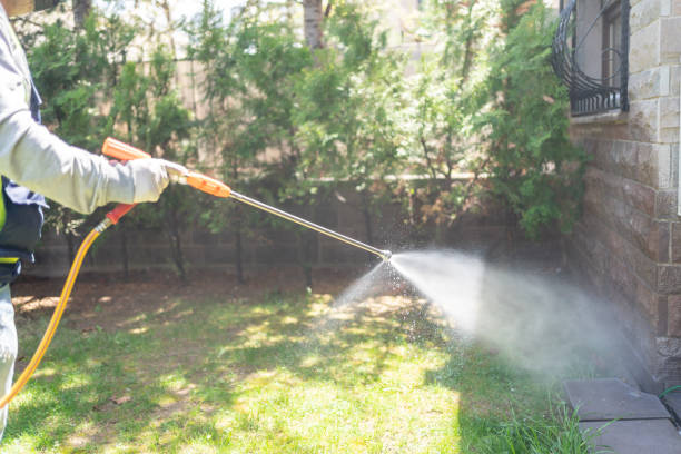 Best Local Pest Control Services  in Old Hill, CT