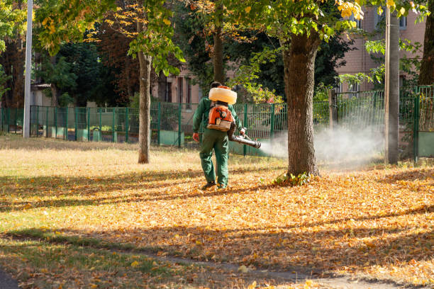 Best Pest Prevention Services  in Old Hill, CT
