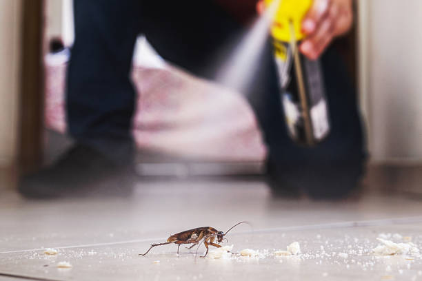 Pest Control Cost in Old Hill, CT